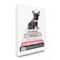 Stupell Industries Fashion Books & French Bulldog Canvas Wall Art